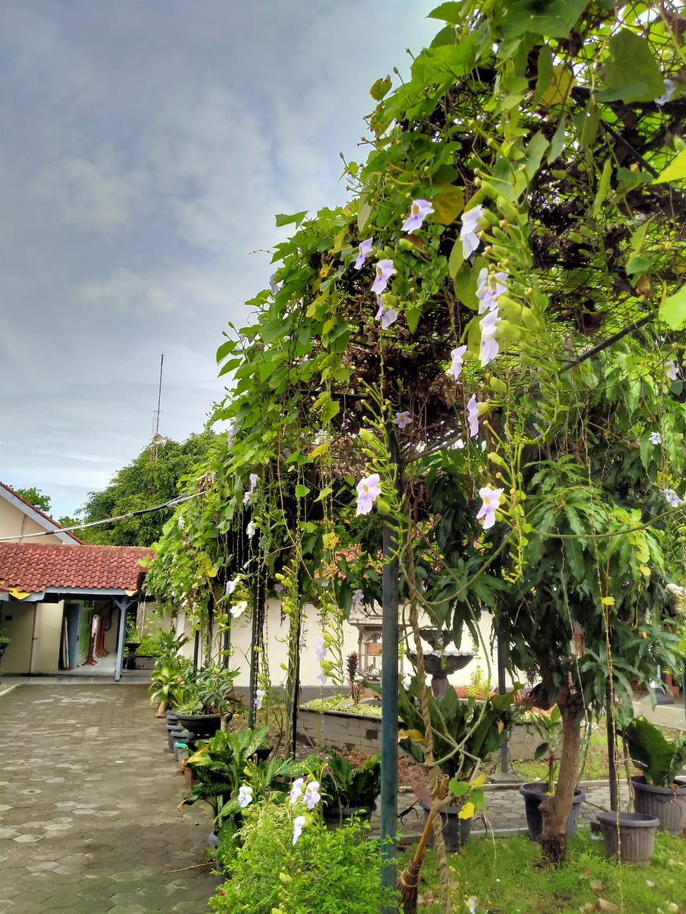 PENANGANAN SUMBER DAYA AIR DI SMA N 11 YOGYAKARTA